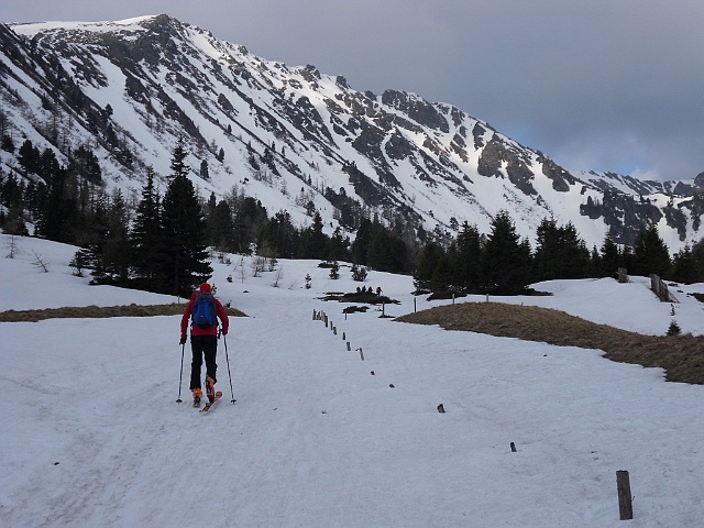 SDC18531.JPG - der Hengst ist sichtbar