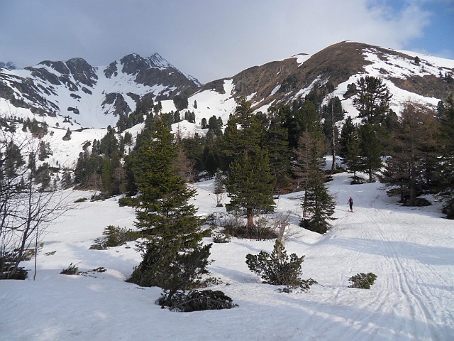 SDC18536.JPG - vorbei am großen Scheiblsee