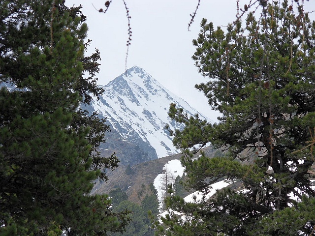 SDC18597.JPG - jetzt zeigt sich der Berg wieder ohne Nebel