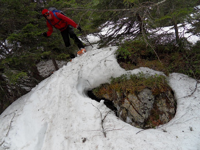 SDC18601.JPG - stellenweise wird's schon lichter